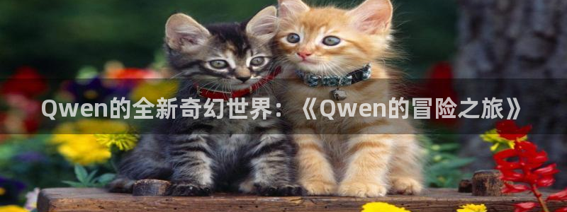 新视觉抢先看