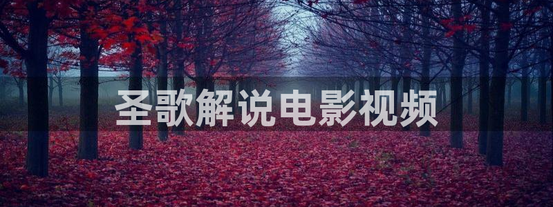 yy新视觉影院6080