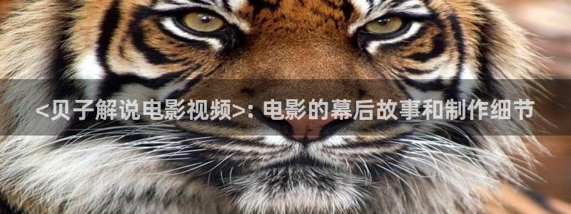 6080新视觉电影电视剧在线