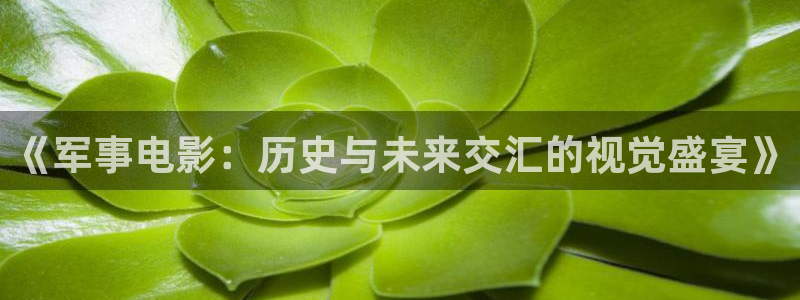 6080新视觉影院app