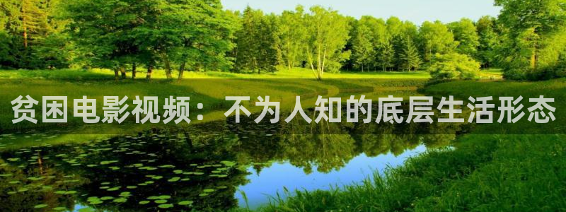 yy6080伦理新视觉影院
