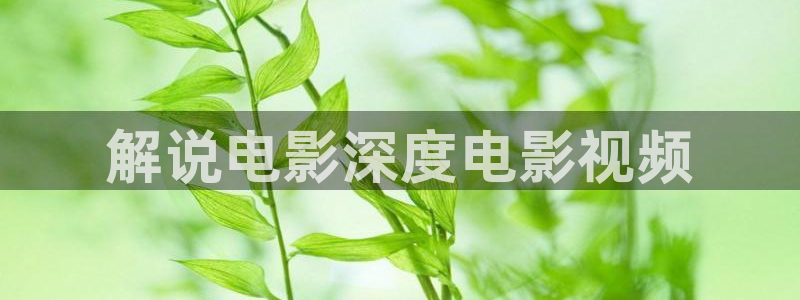 新视觉影视官网在线观看
