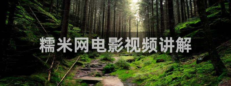 6080新视觉观影理论