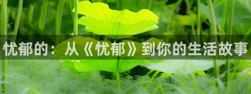 6080新视觉电影理论电视剧免费观看