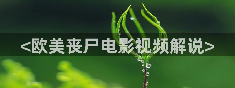,新视觉