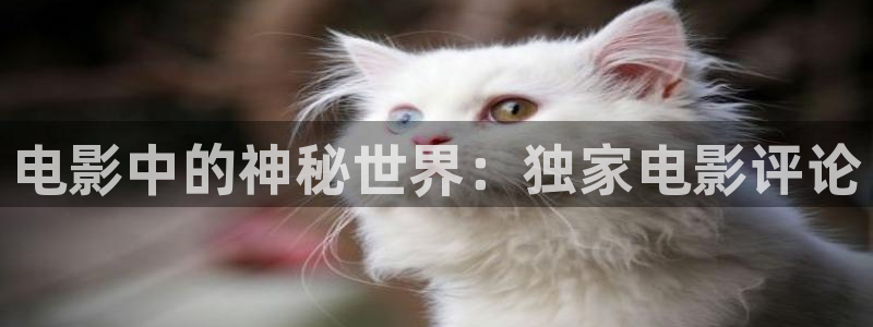 yy8090新视觉电视剧在线观看免费版第二季