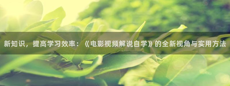 yy6080新视觉电视剧秋霞