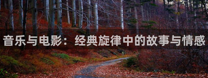 yy4480万利达影院新视觉