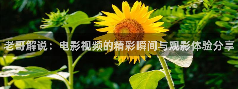 新视觉逗