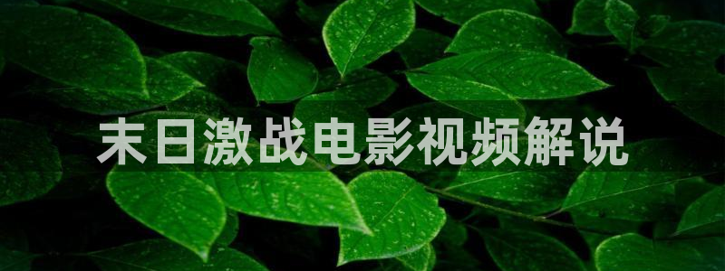 www新视觉