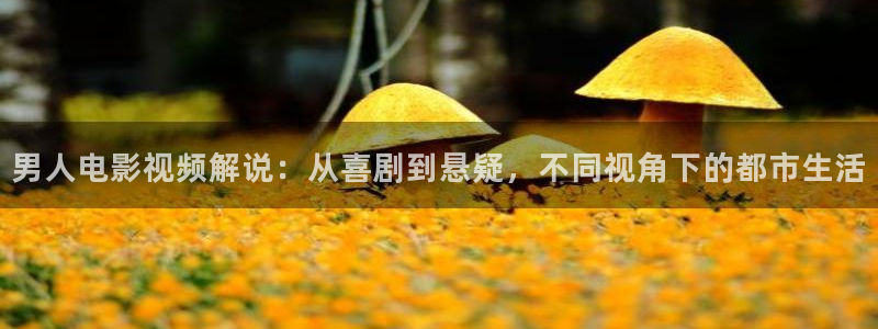 6080新视觉电视剧大全免费