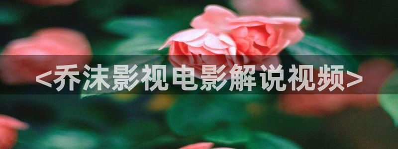 新视觉私人影院在线观看