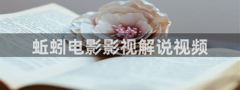 6080新视觉电影电视剧免费网址