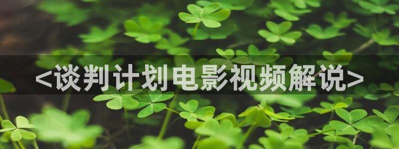 新视觉电影电视剧