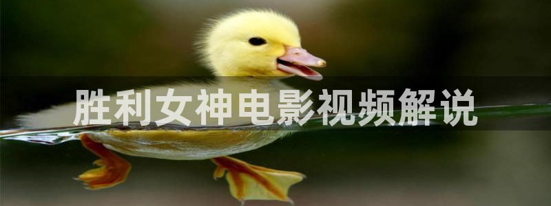 新视觉影院 在线看 网址