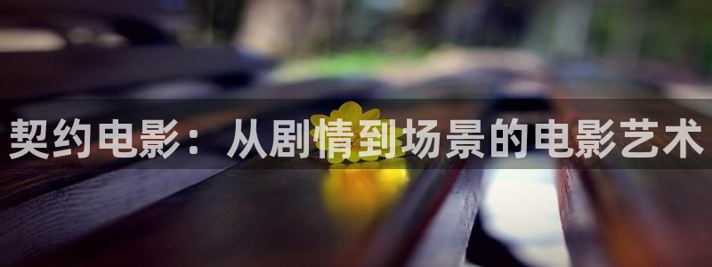 新视觉影院青苹果影院