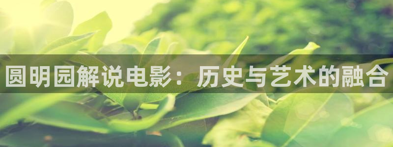 新视觉伦理