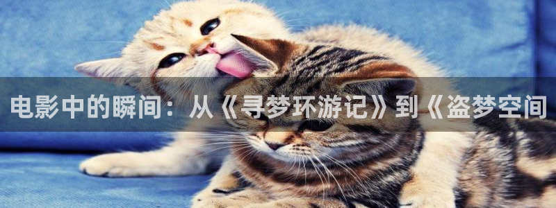 6080新视觉电影电视剧在线观看瞒天过海