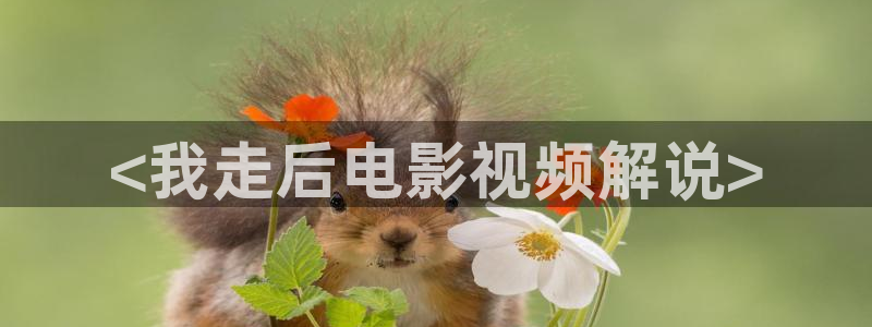 新视觉影院高清在线