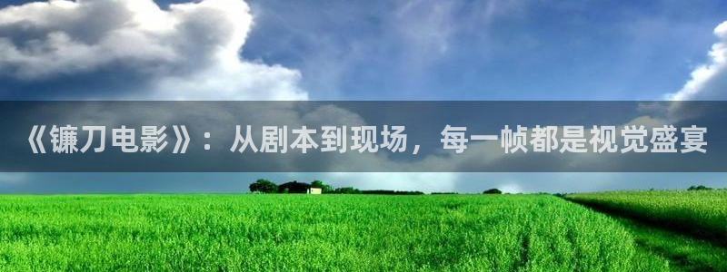 新视觉黄梅戏天仙配