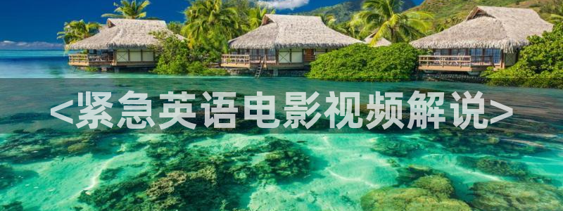 6080新视觉电影理论