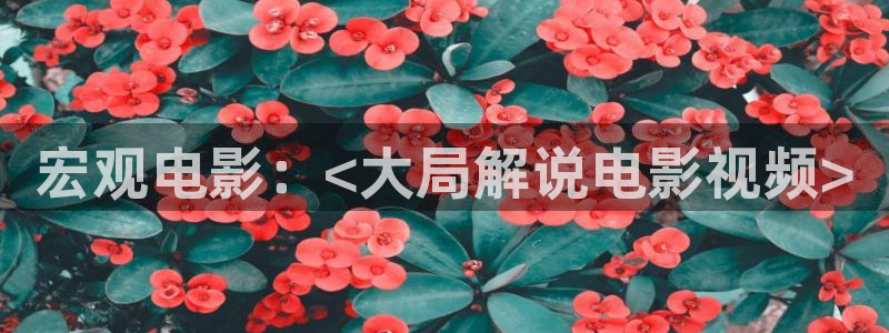 6680新视觉免费新剧在线观看
