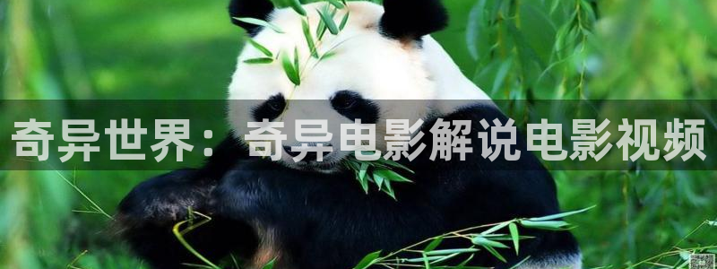 新视觉韩剧