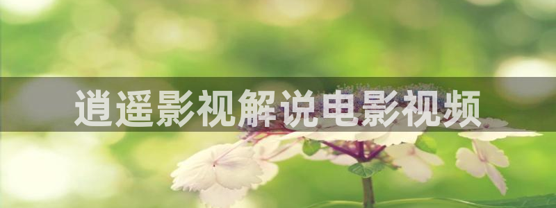 新视觉美景之屋