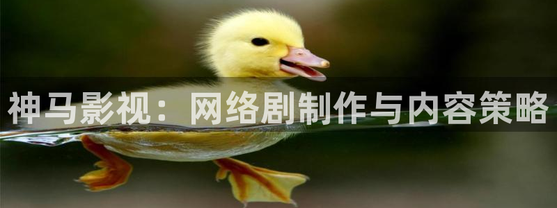 6080新视觉免费电影