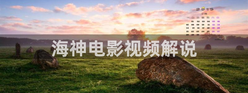 新视觉形式