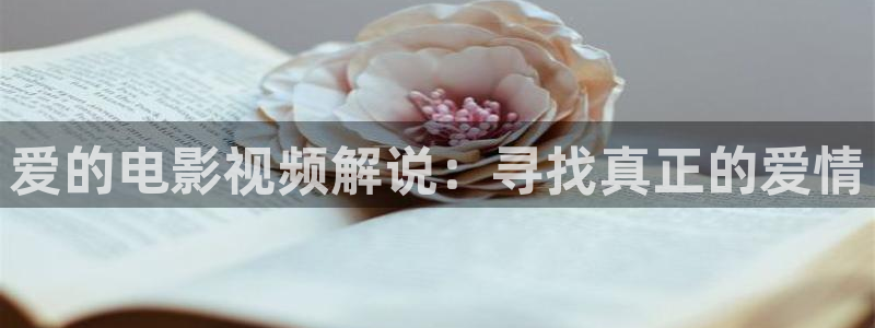 苏州新视觉