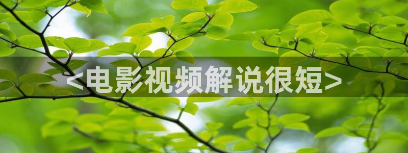新视觉6090影院