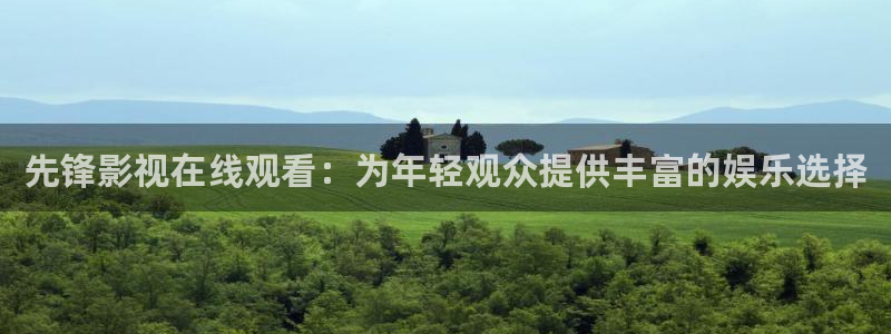 新视觉理论电影