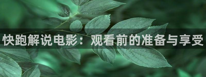 新视觉逗别看无敌马