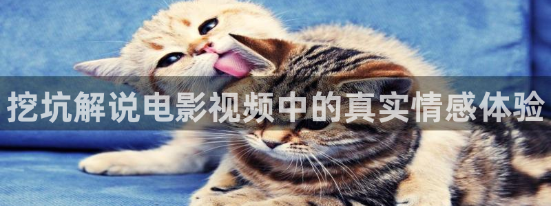 8090yy新视觉电影电视剧在线观看