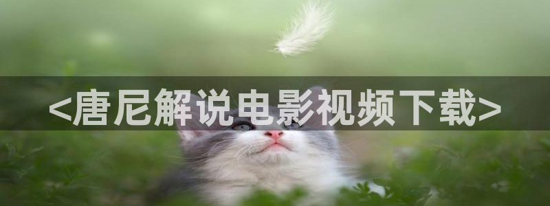 新视觉神马电影