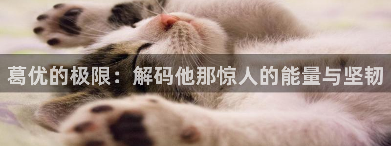 青苹果6080新视觉