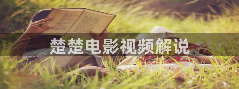 爱新视觉