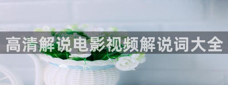 新视觉培训班：高清解说电影视频解说词大全