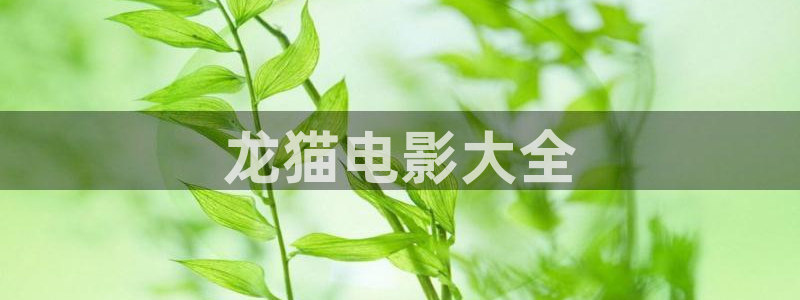 60880新视觉影院：龙猫电影大全