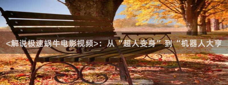 新视觉影院6080ok电影