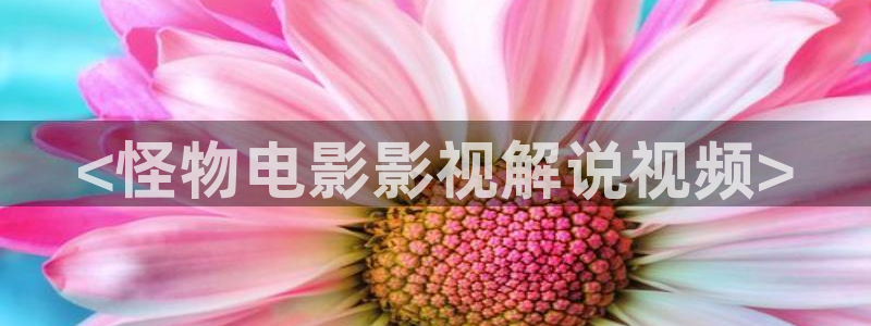 360新视觉
