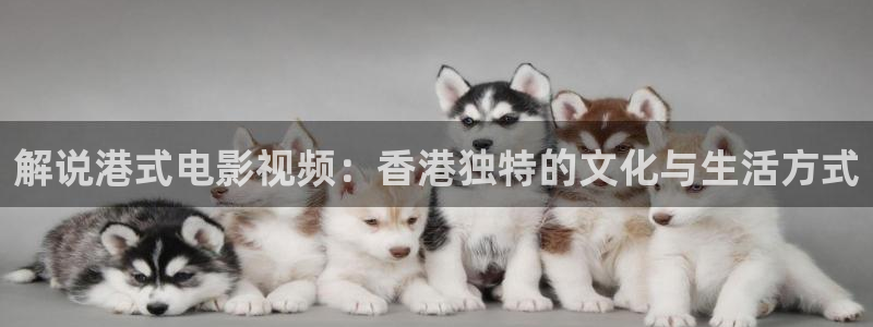 新视觉三级