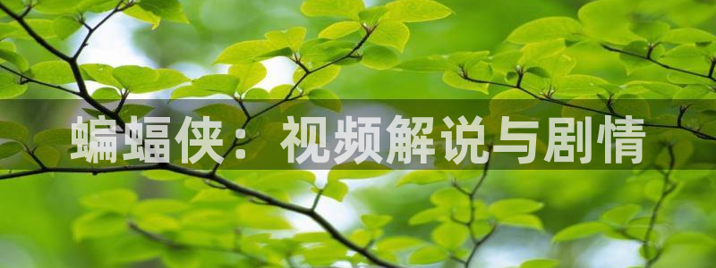 6080新视觉手机版