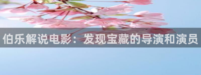 新视觉理论电视剧全集