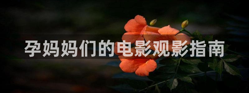 6080伦理新视觉