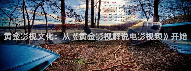 yy6029新视觉影院