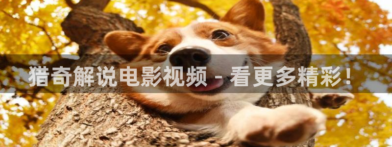 6080电影网6080新视觉电影网