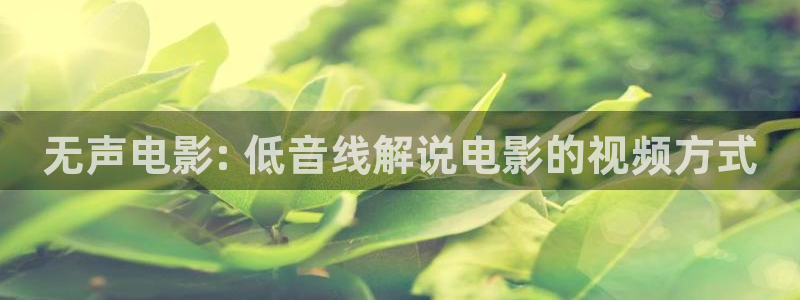 新视觉在线播放
