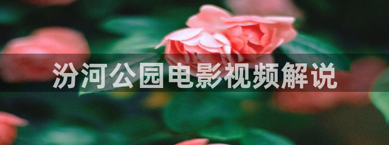 yy6080新视觉高清